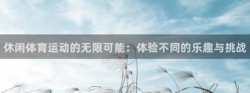 一竞技官方正版app娱乐代理怎么样：休闲体育运动的无限可能：