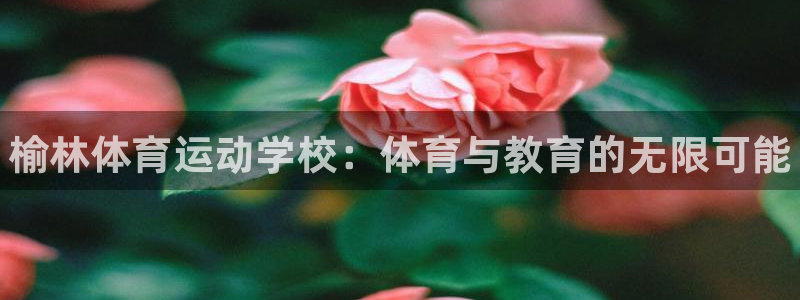 一竞技官方正版app官网：榆林体育运动学校：体育与教