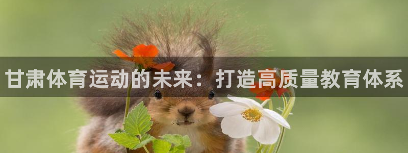 一竞技官方正版app五金厂：甘肃体育运动的未来：打造