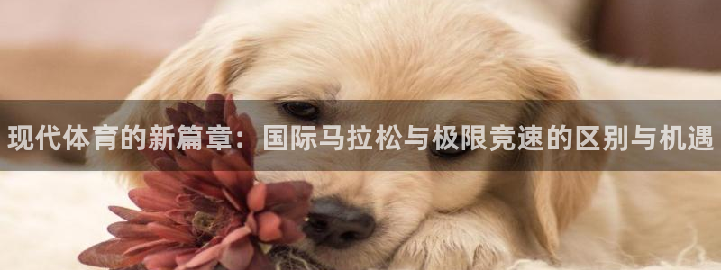 一竞技官方正版app官方：现代体育的新篇章：国际马拉松与极限