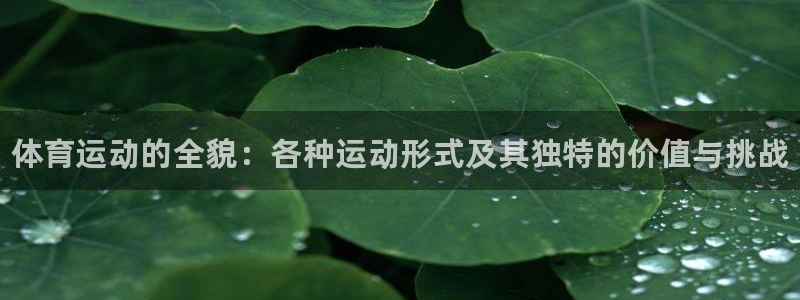 一竞技官网下载招商电话：体育运动的全貌：各种运动形式及其独特