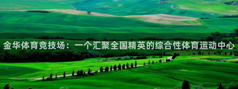 一竞技官网下载注册：金华体育竞技场：一个汇聚全国精英的综合性