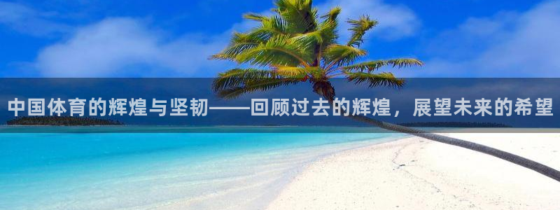 一竞技官方正版app新能源：中国体育的辉煌与坚韧——