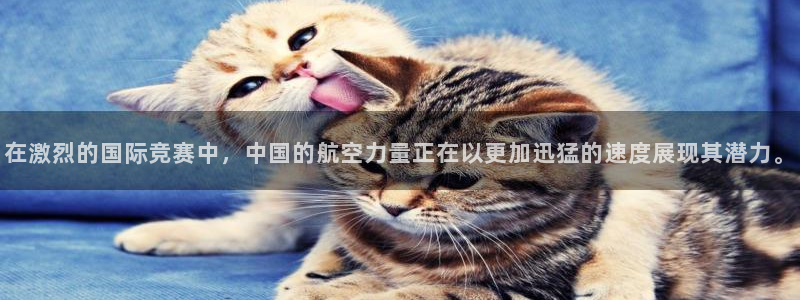 一竞技官网下载平台注册流程图：在激烈的国际竞赛中，中
