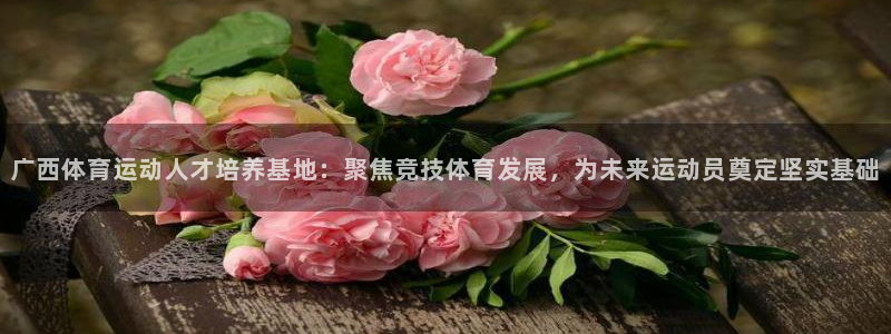 一竞技官网下载平台：广西体育运动人才培养基地：聚焦竞