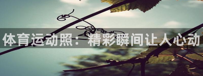 一竞技官网下载平台假的吗是真的吗吗：体育运动照：精彩