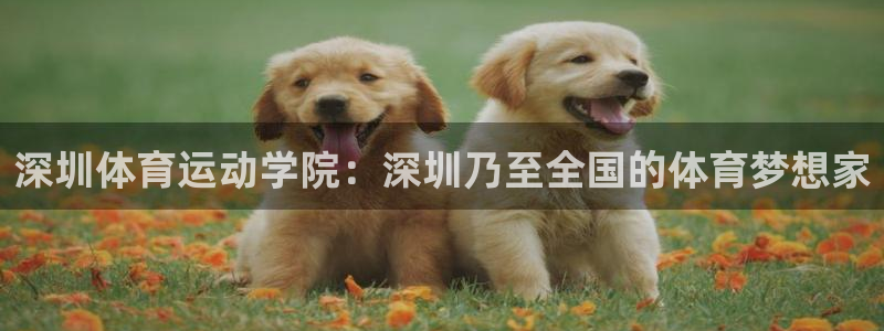 一竞技官网下载平台注册要钱吗：深圳体育运动学院：深圳