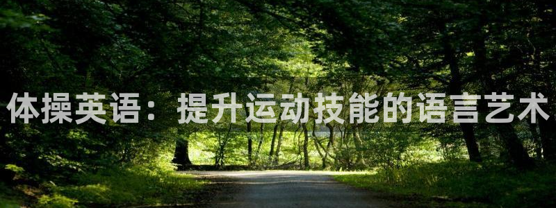 一竞技官网下载平台是正规平台吗安全吗：体操英语：提升
