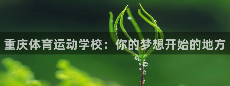 一竞技官方正版app娱乐平台：重庆体育运动学校：你的