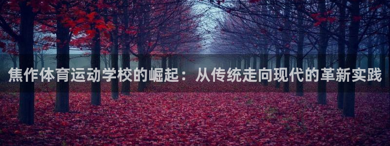 一竞技官方集团官网：焦作体育运动学校的崛起：从传统走向现代的