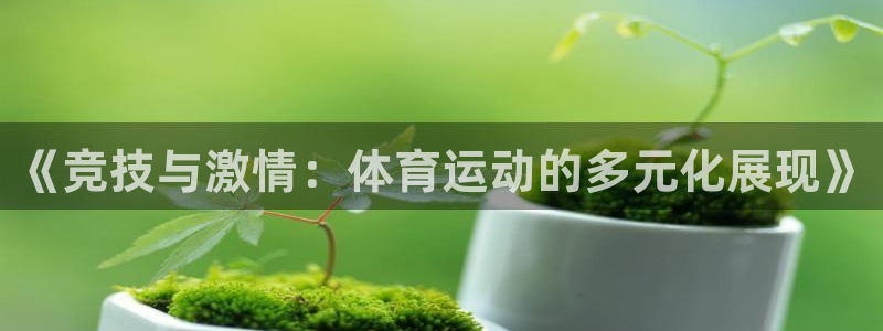一竞技官方正版app娱乐