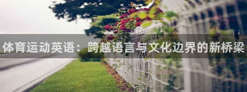 一竞技官方正版app官网：体育运动英语：跨越语言与文化边界的