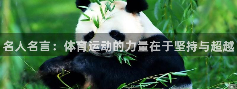 一竞技官方正版app娱乐首页网站大全