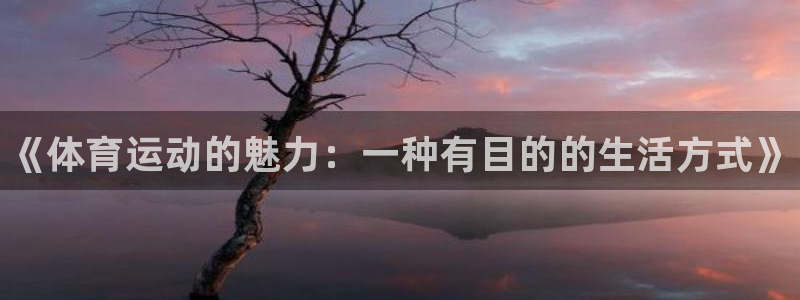 一竞技官网下载：《体育运动的魅力：一种有目的的生活方式》