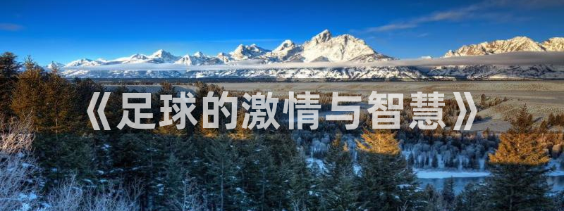 一竞技官网下载官方客服电话：《足球的激情与智慧》