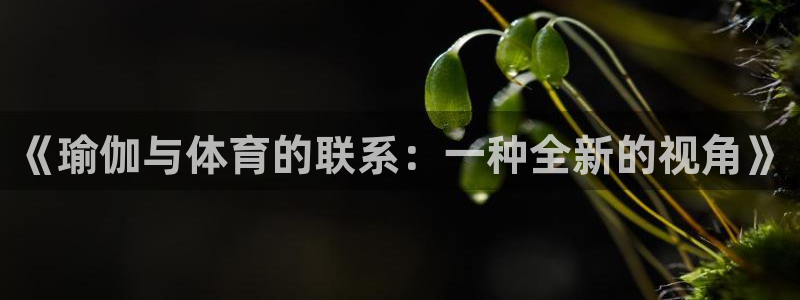一竞技官方正版app娱乐平台：《瑜伽与体育的联系：一
