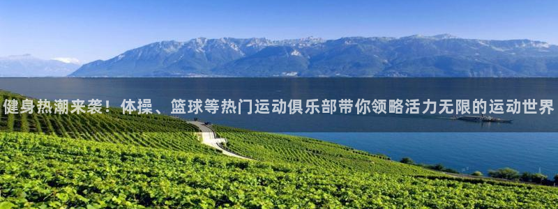 一竞技官网下载是干嘛的公司：健身热潮来袭！体操、篮球等热门运