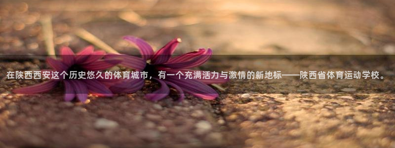 一竞技官方正版app娱乐平台：在陕西西安这个历史悠久的体育城