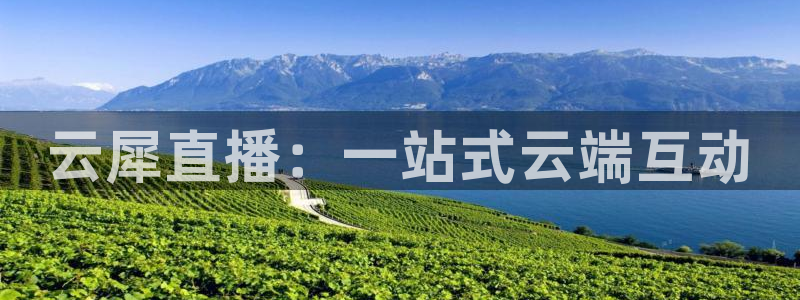 龙门飞甲粤语在线看