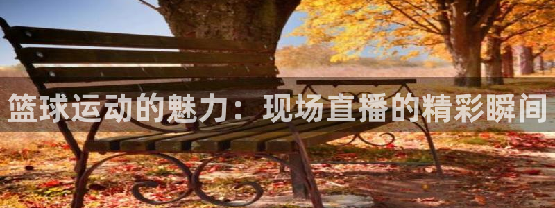 龙门镖局超清在线观看：篮球运动的魅力：现场直播的精彩瞬间