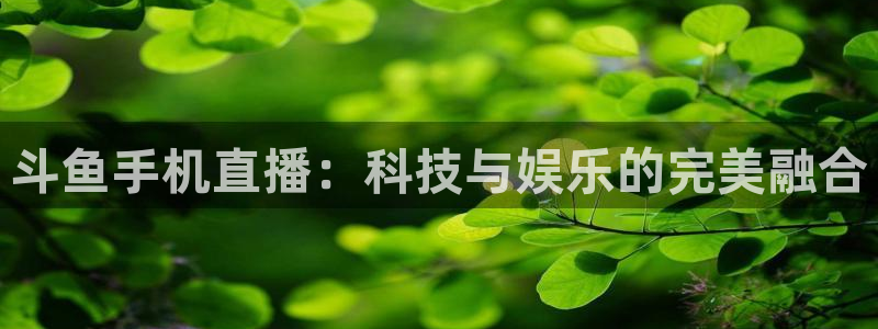 龙门直播nba免费直播在线观看：斗鱼手机直播：科技与娱乐的完美融合