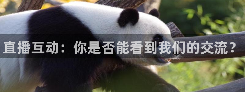 龙门足球直播：直播互动：你是否能看到我们的交流？